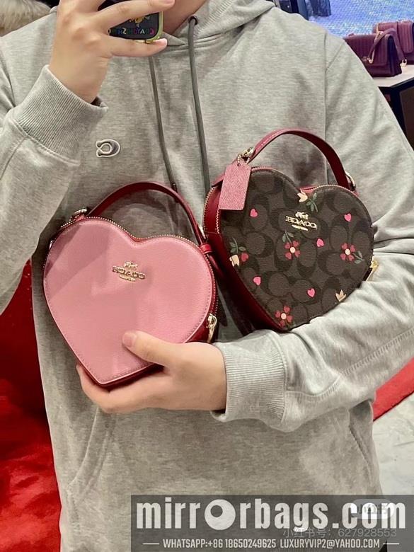 Replica Coach Bags 5118 5119 C8040 JH