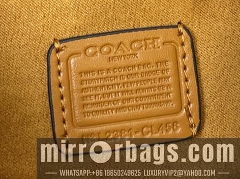 Replica Coach Bags 062303 AZ 5