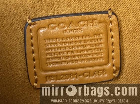 Replica Coach Bags 062303 AZ 6
