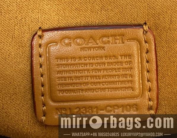 Replica Coach Bags 062303 AZ 1