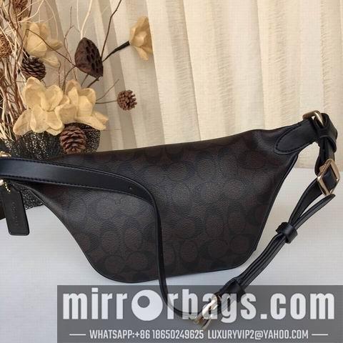 Replica Coach Bags BH48740 30X12X11 two colors