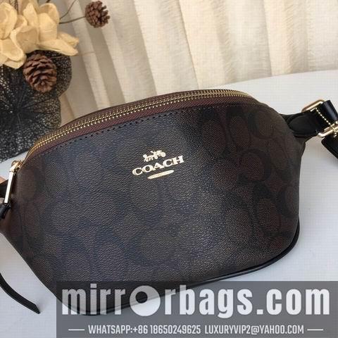 Replica Coach Bags BH48740 30X12X11 two colors