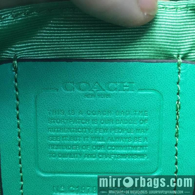 Replica Coach Bags XXL72702 green