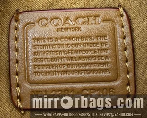 Replica Coach Bags 062303 AZ 2