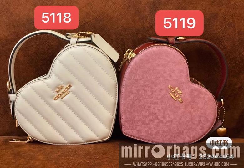 Replica Coach Bags 5118 5119 C8040 JH