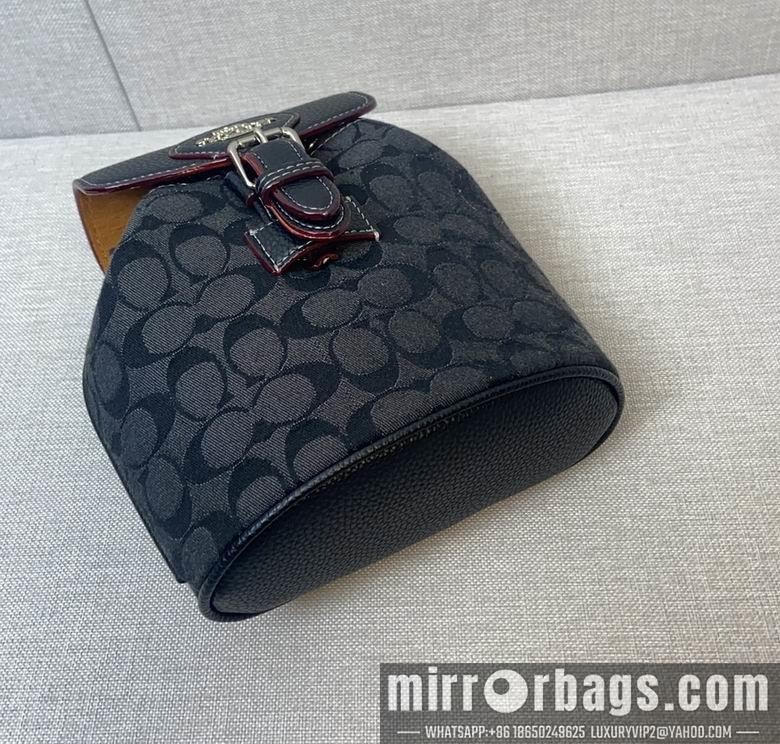 Replica Coach Bags 062303 AZ 2