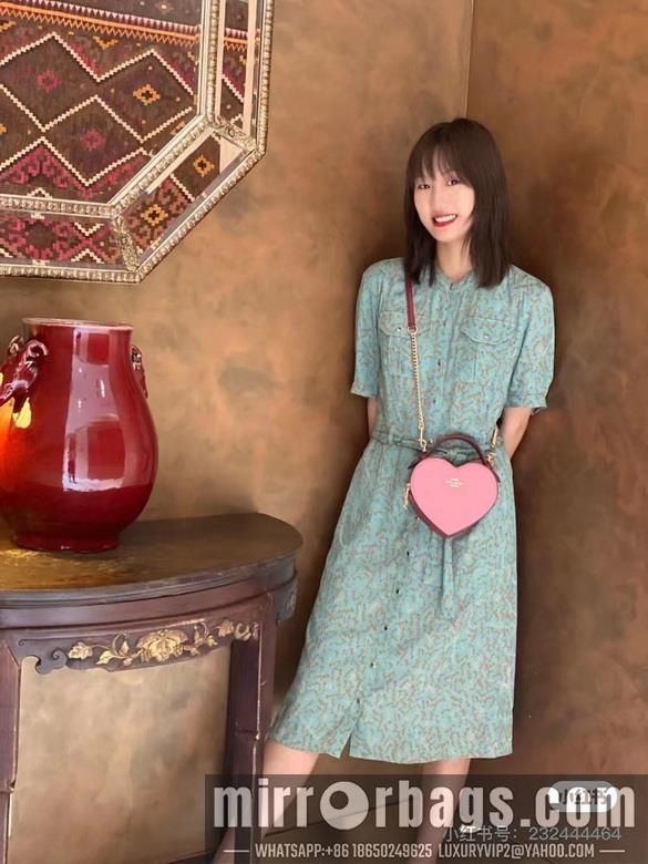 Replica Coach Bags 5118 5119 C8040 JH
