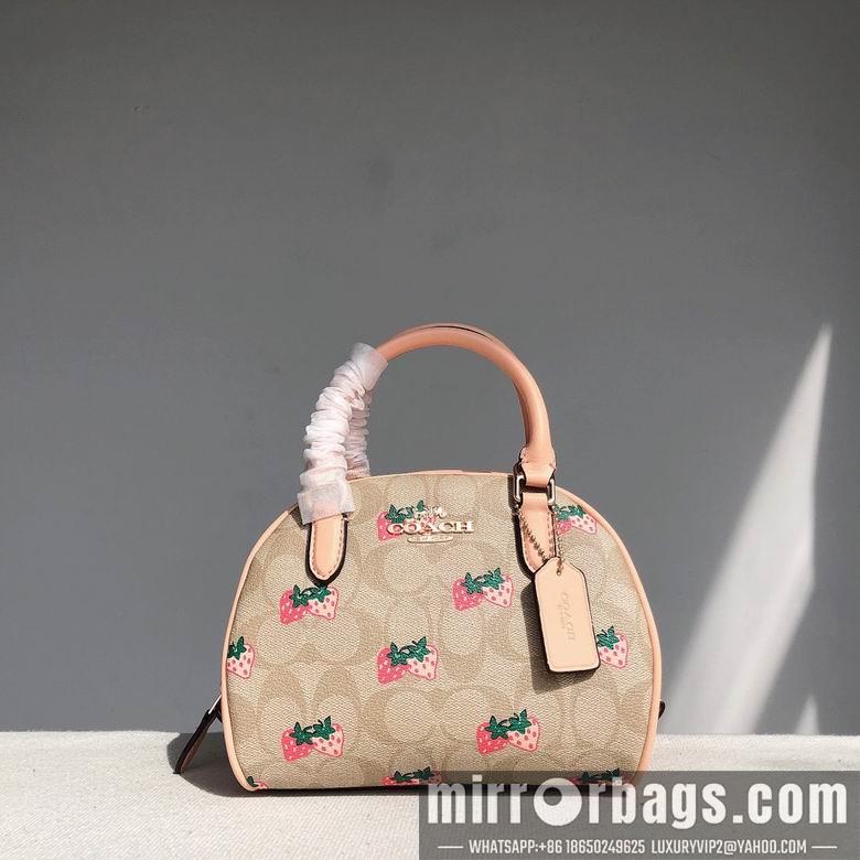 Replica Coach Bags CB596 20.5x12.5x15.5cm
