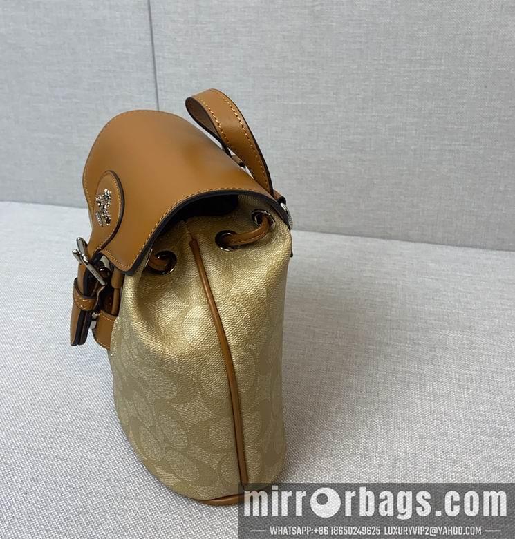 Replica Coach Bags 062303 AZ 6