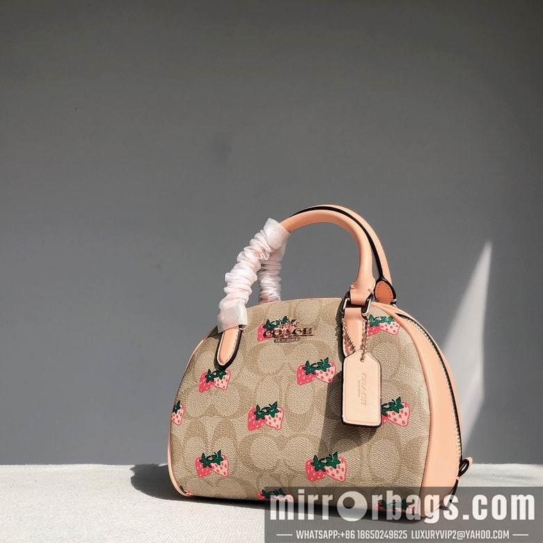 Replica Coach Bags CB596 20.5x12.5x15.5cm