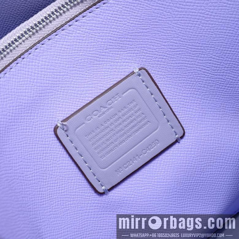 Replica Coach Bags c4250 25X19X12cm XM 5