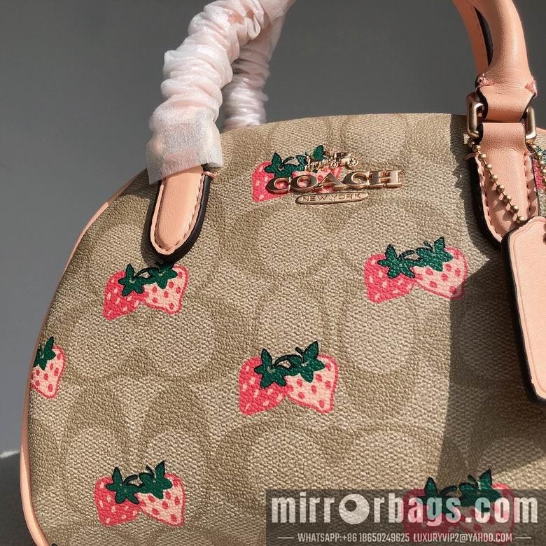 Replica Coach Bags CB596 20.5x12.5x15.5cm