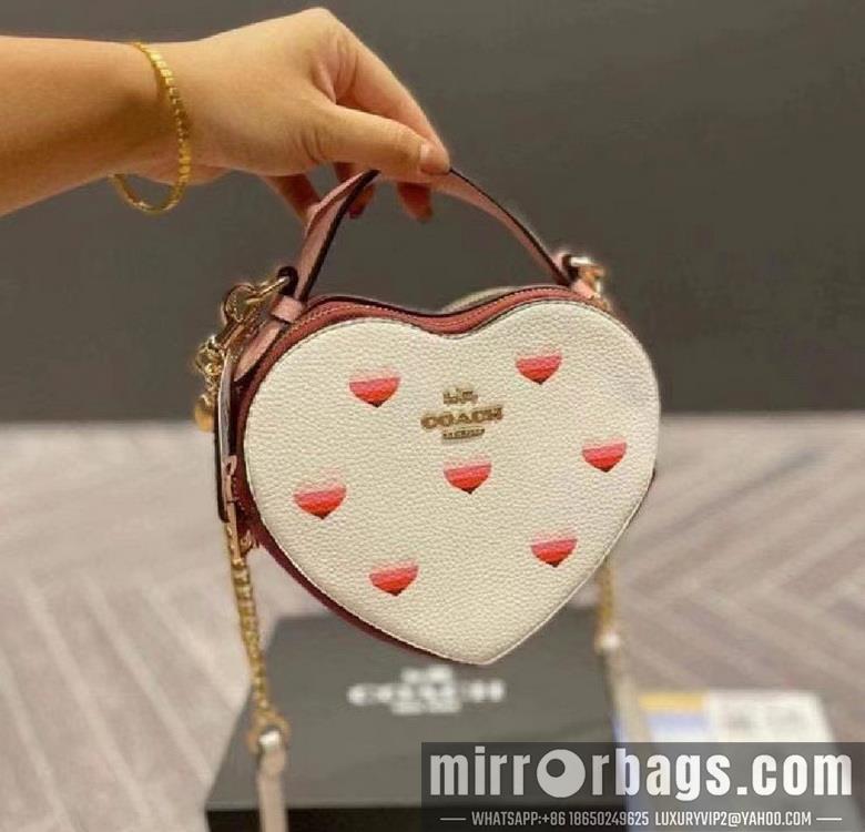 Replica Coach Bags 5118 5119 C8040 JH