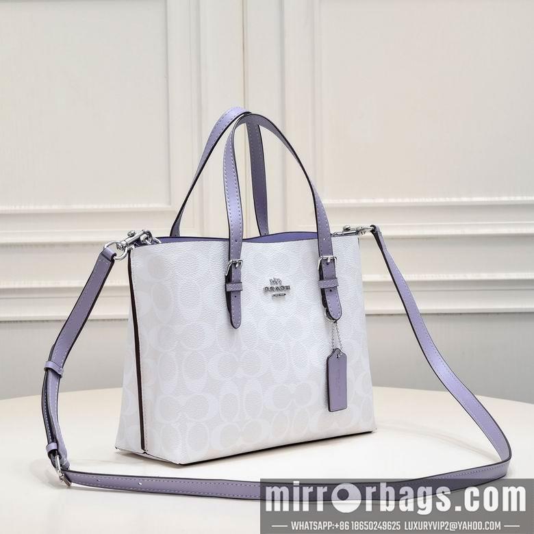 Replica Coach Bags c4250 25X19X12cm XM 5