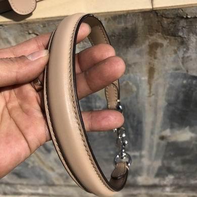 Replica Coach Bags BH91215 26X14X8