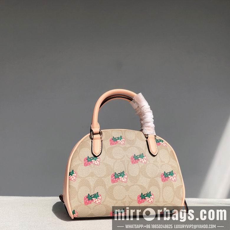 Replica Coach Bags CB596 20.5x12.5x15.5cm