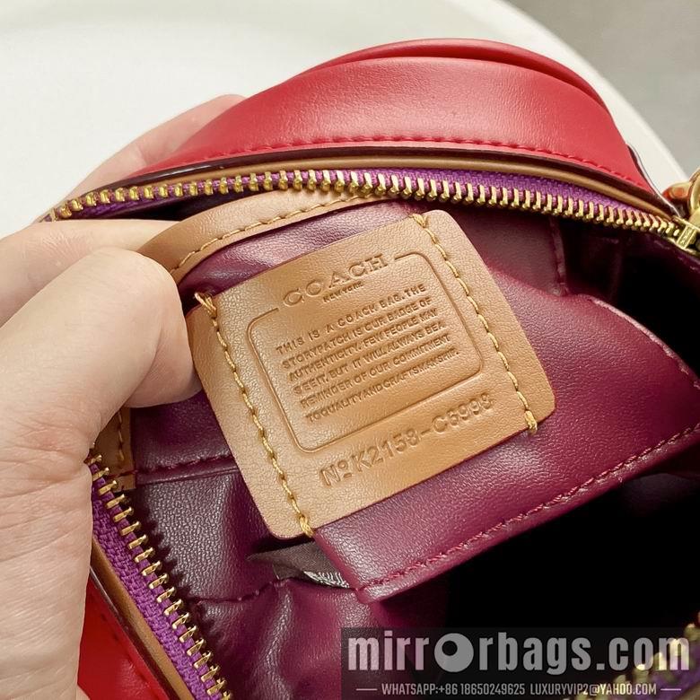 Replica Coach Bags C6998 CA098 18X18X6.5cm DN 3