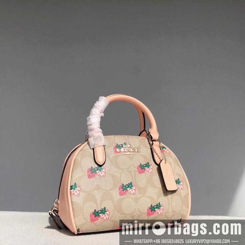 Replica Coach Bags CB596 20.5x12.5x15.5cm