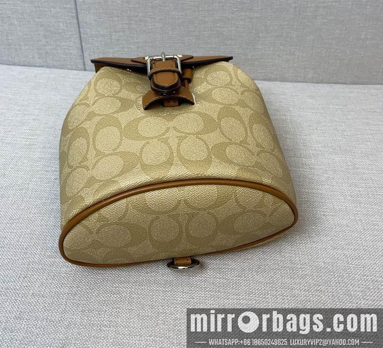 Replica Coach Bags 062303 AZ 6