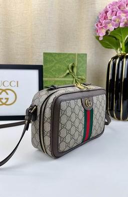 Replica Gucci Bags 1:1 Ophidia 739392 24X16X7cm DF 2colour