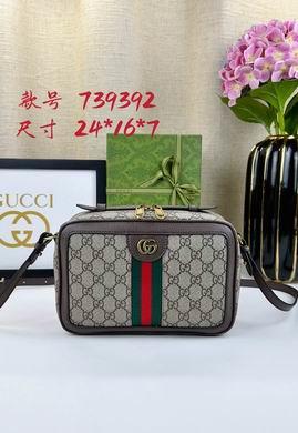 Replica Gucci Bags 1:1 Ophidia 739392 24X16X7cm DF 2colour