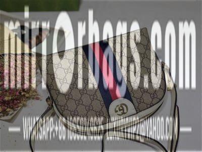 Replica Gucci Bags 1:1 499621 23X19X8CM DF