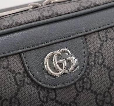 Replica Gucci Bags 1:1 Ophidia 739392 24X16X7cm DF 2colour