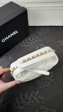 1:1 Replica Chanel Bags 230 19X16cm WO 2colour