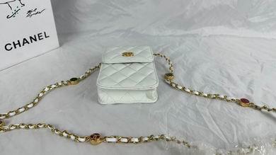 1:1 Replica Chanel Bags 8882 17X13X3cm WO 4colour