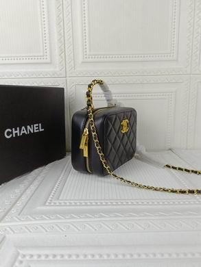 1:1 Replica Chanel Bags 223 17X13cm WO