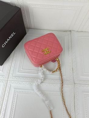 1:1 Replica Chanel Bags 223 17X13cm WO