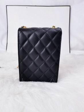 1:1 Replica Chanel Bags 5871 18X7cm WO