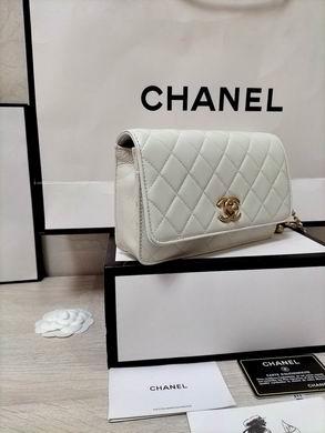 1:1 Replica Chanel Bags WOAP1450 19.2X12.3X3.5