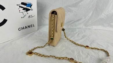 1:1 Replica Chanel Bags 8882 17X13X3cm WO 4colour