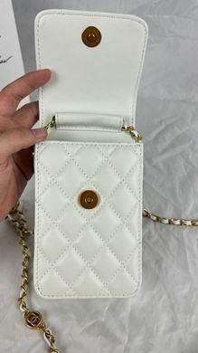 1:1 Replica Chanel Bags 8882 17X13X3cm WO 4colour