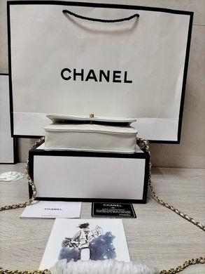 1:1 Replica Chanel Bags WOAP1450 19.2X12.3X3.5