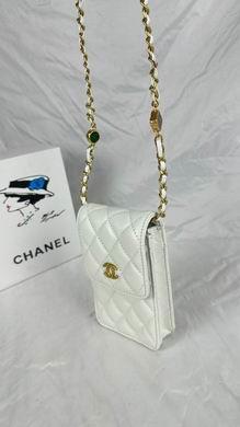 1:1 Replica Chanel Bags 8882 17X13X3cm WO 4colour