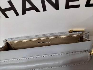 1:1 Replica Chanel Bags WOAP1450 19.2X12.3X3.5
