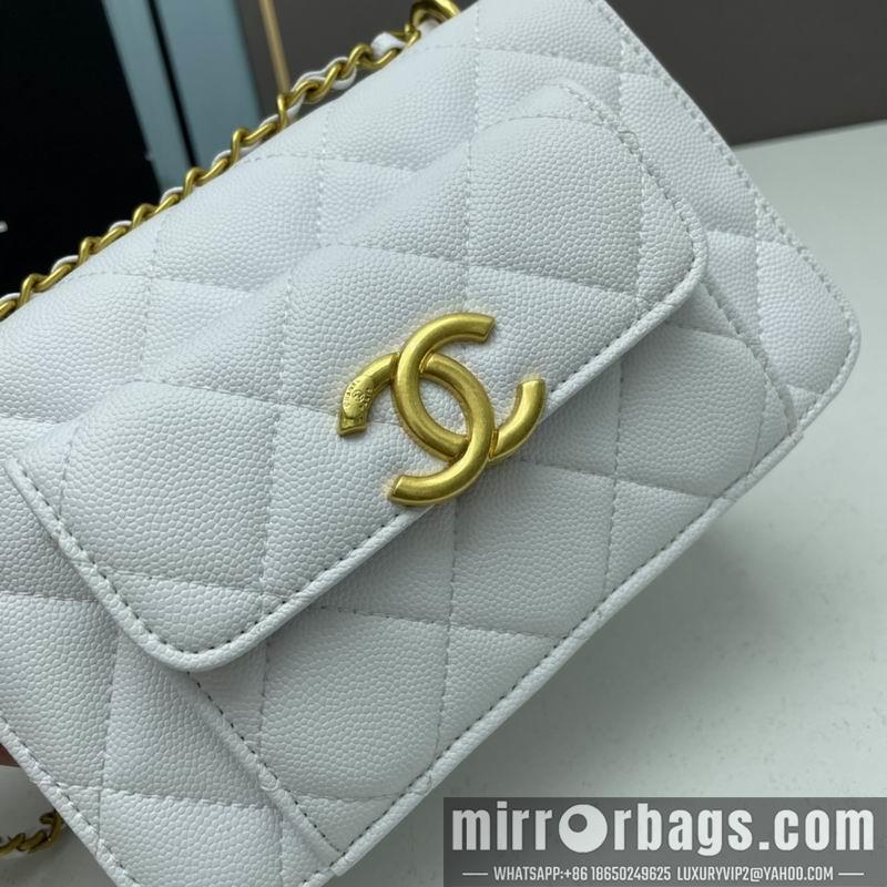 1:1 Replica Chanel Bags Chanel woc2830 19x12x6cm ww4色