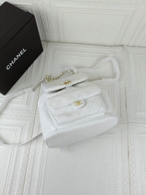 1:1 Replica Chanel Bags 208 22X23X13cm WO