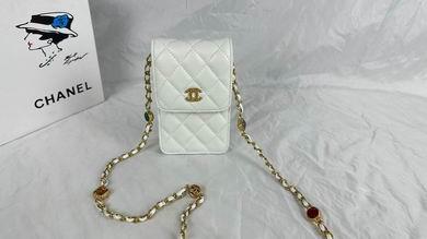 1:1 Replica Chanel Bags 8882 17X13X3cm WO 4colour