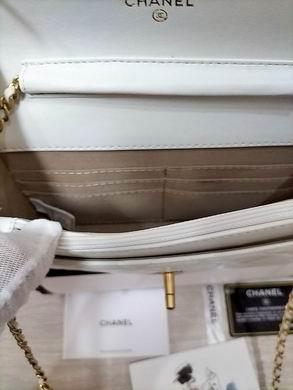 1:1 Replica Chanel Bags WOAP1450 19.2X12.3X3.5