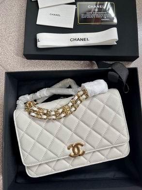 1:1 Replica Chanel Bags 19X12X3.5cm 092701