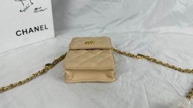 1:1 Replica Chanel Bags 8882 17X13X3cm WO 4colour