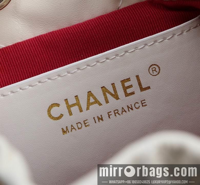 1:1 Replica Chanel Bags 1004 22X17cm XMY 2colour
