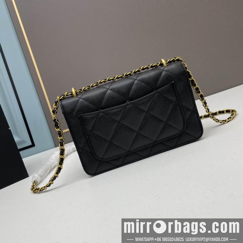 1:1 Replica Chanel Bags Chanel woc2830 19x12x6cm ww4色