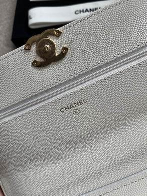 1:1 Replica Chanel Bags 19X12X3.5cm 092701