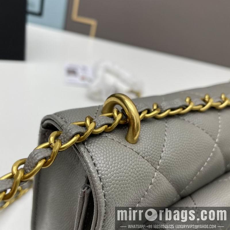 1:1 Replica Chanel Bags Chanel woc2830 19x12x6cm ww4色