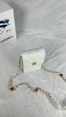1:1 Replica Chanel Bags 8882 17X13X3cm WO 4colour