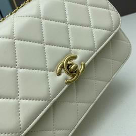 1:1 Replica Chanel Bags Chanel 2649 22x14x7cm ww2色